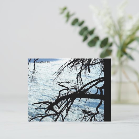 MTV 9 BRIEFKAART (Staand voorkant)