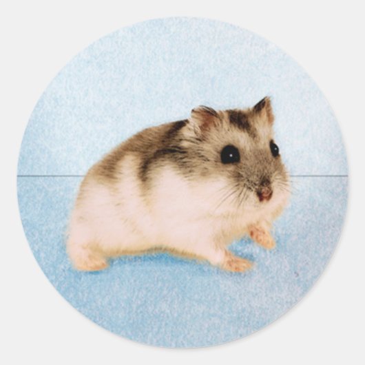 Mu Mu de Hamster Ronde Sticker (Voorkant)
