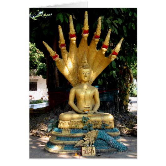 Mucalinda-Kaart (Voorkant)