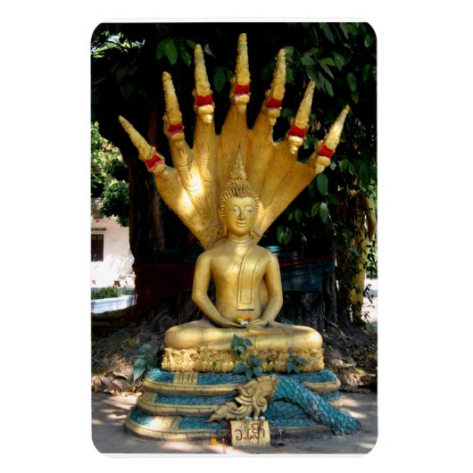 Mucalinda Magneet (Verticaal)