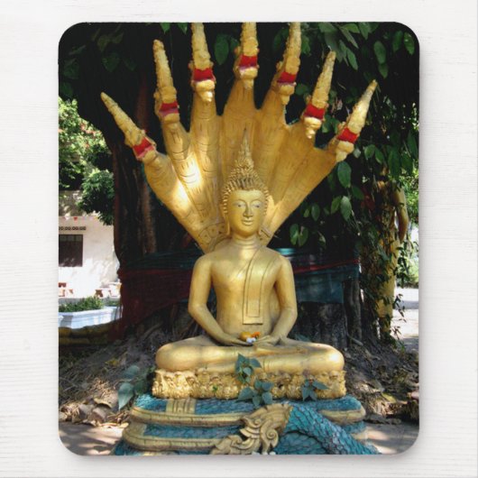 Mucalinda Muismat (Voorkant)