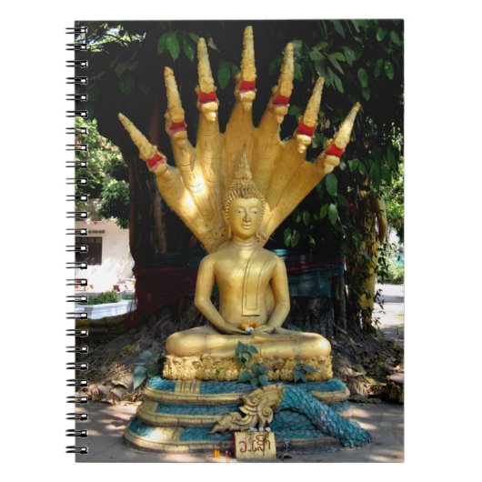 Mucalinda Notitieboek (Voorkant)