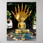 Mucalinda Poster (Voorkant)