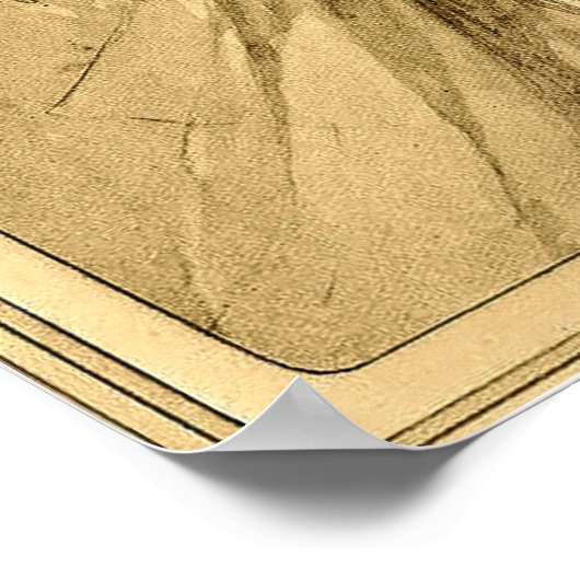 Mucha - Vrouw Panel 1901 Poster (Hoek)