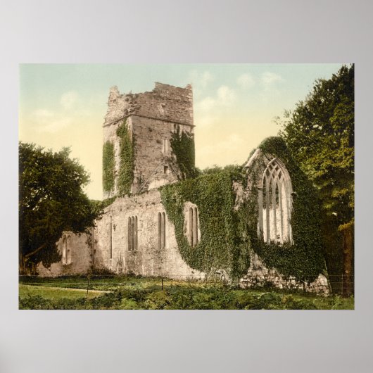 Muckross Abbey, Killarney, County Kerry Poster (Voorkant)