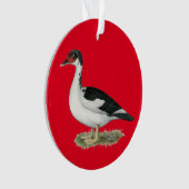 Mucovy Black Pied Duck Ornament (voorkant)