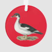 Mucovy Black Pied Duck Ornament (achterkant)