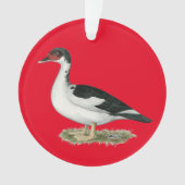 Mucovy Black Pied Duck Ornament (voorkant)