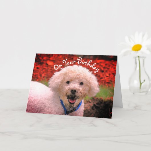 Mud Faced Poodle Cute Birthday Kaart (Kleine Plant)