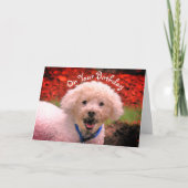 Mud Faced Poodle Cute Birthday Kaart (Voorkant)