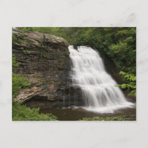 Muddy Creek Herfsten, Maryland Briefkaart