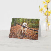 Muddy Dog in herfst Natuur Kaart (Gele Bloem)