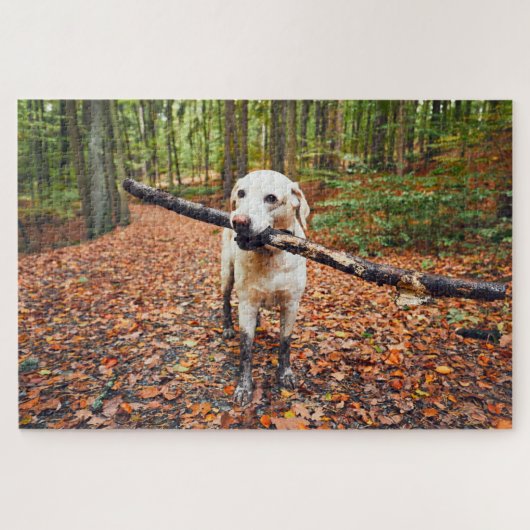 Muddy Dog in herfst Natuur Legpuzzel (Horizontaal)