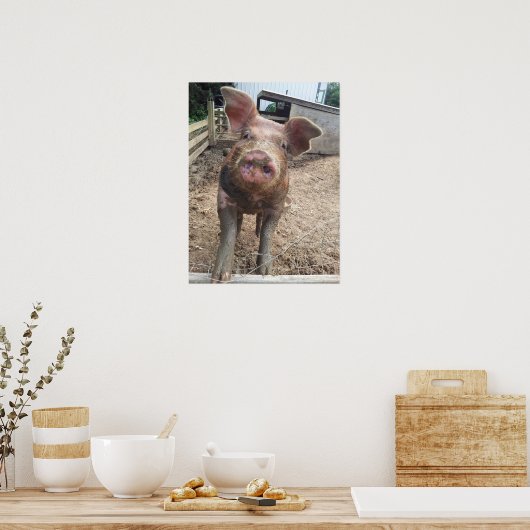 Muddy Pig Poster Funny (Keuken)