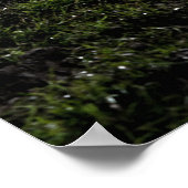 Muddy rugby ball zit op een kauwgras. poster (Hoek)