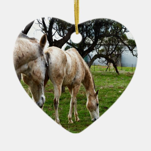 Muddy White Horses Keramisch Ornament (Voorkant)