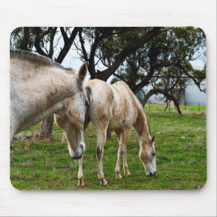 Muddy White Horses Muismat
