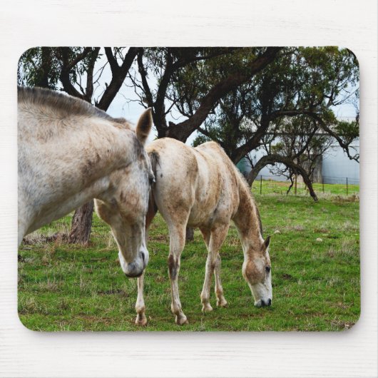 Muddy White Horses Muismat (Voorkant)