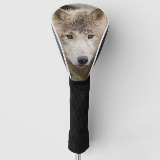 Muddy White Wolf Golfheadcover (Voorkant)
