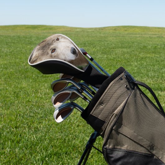 Muddy White Wolf Golfheadcover (Insitu)