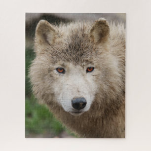 Muddy White Wolf Legpuzzel