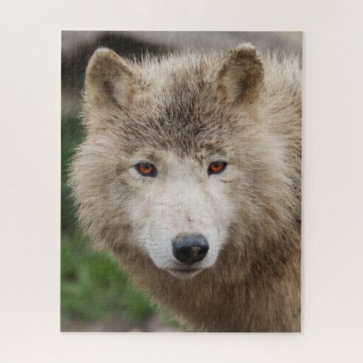 Muddy White Wolf Legpuzzel (Verticaal)
