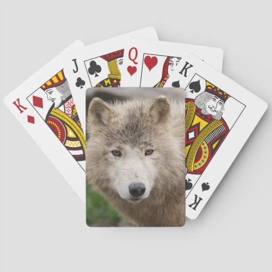 Muddy White Wolf Pokerkaarten (Achterkant)
