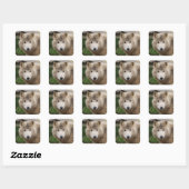 Muddy White Wolf Vierkante Sticker (Vel)
