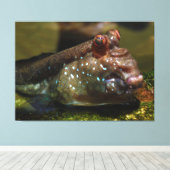 Mudskipper Amphibious Fish Oxudercinae Canvas Afdruk (Insitu (Houten vloer))