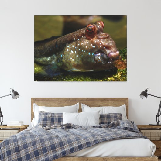 Mudskipper Amphibious Fish Oxudercinae Canvas Afdruk (Insitu (Slaapkamer))