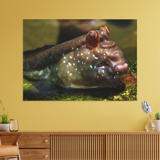 Mudskipper Amphibious Fish Oxudercinae Canvas Afdruk (Insitu (Woonkamer))
