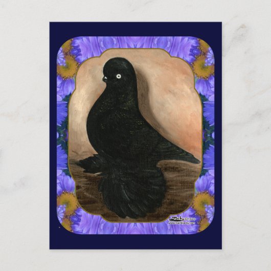 Muffed Tumbler Pigeon Framed Briefkaart (Voorkant)