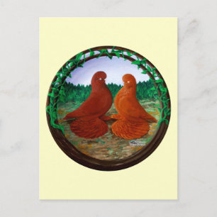 Muffed Tumbler Pigeons2 Briefkaart