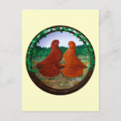 Muffed Tumbler Pigeons2 Briefkaart (Voorkant)