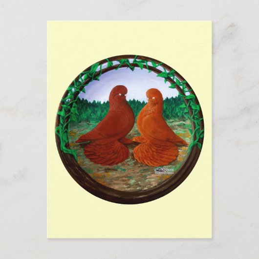 Muffed Tumbler Pigeons2 Briefkaart (Voorkant)