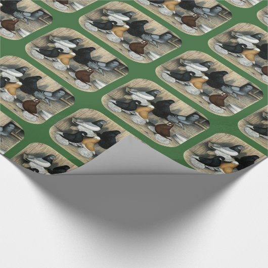 Muffed Tumbler Pigeons Cadeaupapier (Hoek)