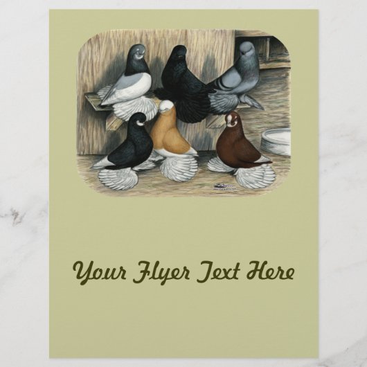 Muffed Tumbler Pigeons Flyer (Voorkant)