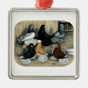 Muffed Tumbler Pigeons Metalen Ornament