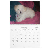 Muffie Agenda 2007 Kalender (Feb 2027)