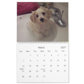 Muffie Agenda 2007 Kalender (Mar 2027)