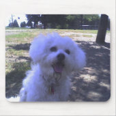 Muffie in het Dog Park Muismat (Voorkant)