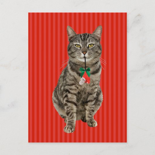 "Muffin Digs Kerstmis" Briefkaart voor feestdagen (Voorkant)