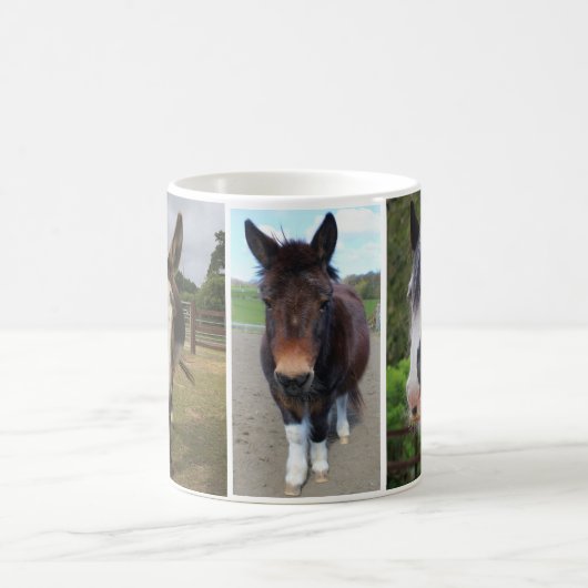 Muffin, Maggie en Banjo Mok (Center)