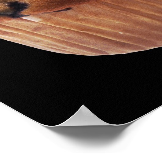 Muffin Poster (Hoek)