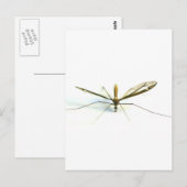 mug briefkaart (Voorkant / Achterkant)