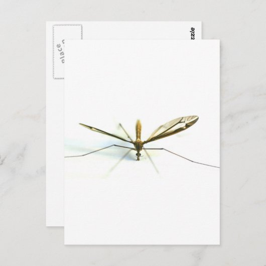 mug briefkaart (Voorkant / Achterkant)