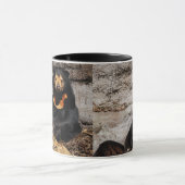 Mug – Sun Bear Mok (Midden)