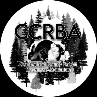 Mug Tweekleurige Koffiemok