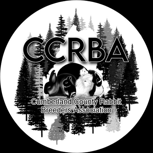 Mug Tweekleurige Koffiemok