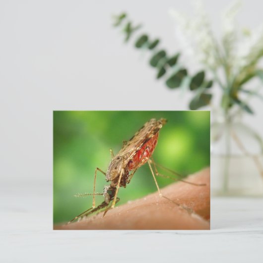 Mug Vol Bloed Briefkaart (Staand voorkant)